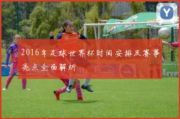 2016年足球世界杯时间安排及赛事亮点全面解析